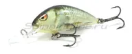  Salmo Hornet F04 RD  