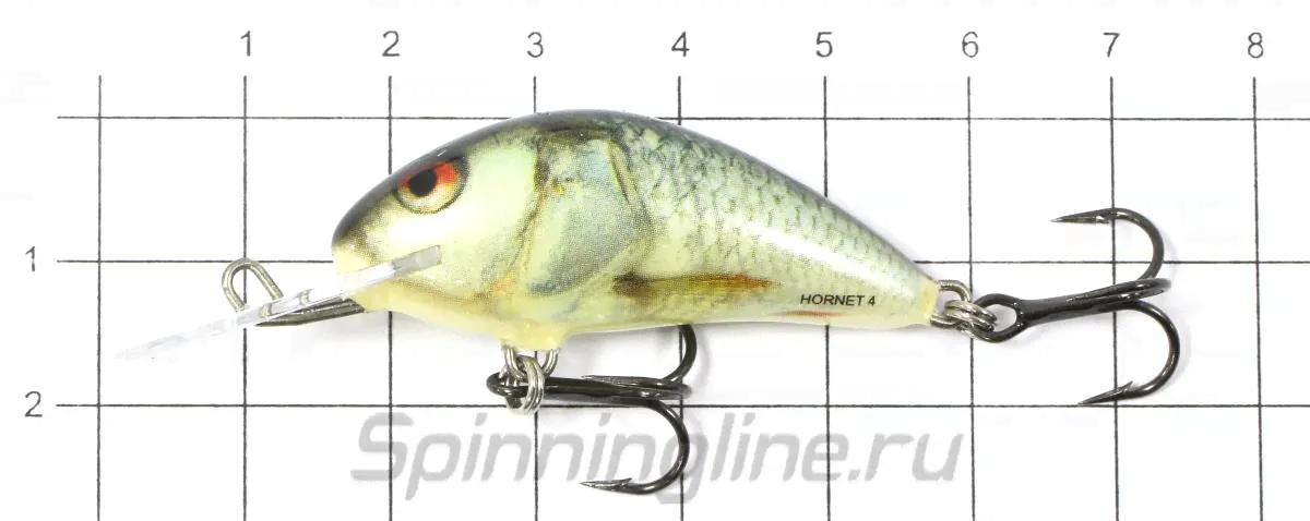  Salmo Hornet F04 RD  -2