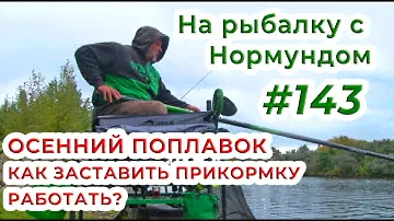 ОСЕНЬ и ПОПЛАВОК - как заставить ПРИКОРМКУ РАБОТАТЬ? / На рыбалку с Нормундом #143