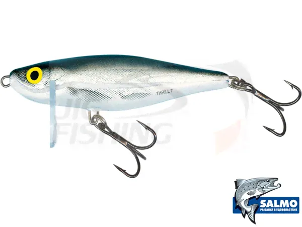 Воблер Salmo Thrill 70mm 13gr #TH7-BMB-0