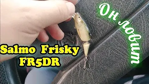 Salmo Frisky FR5DR. Воблер для троллинга.