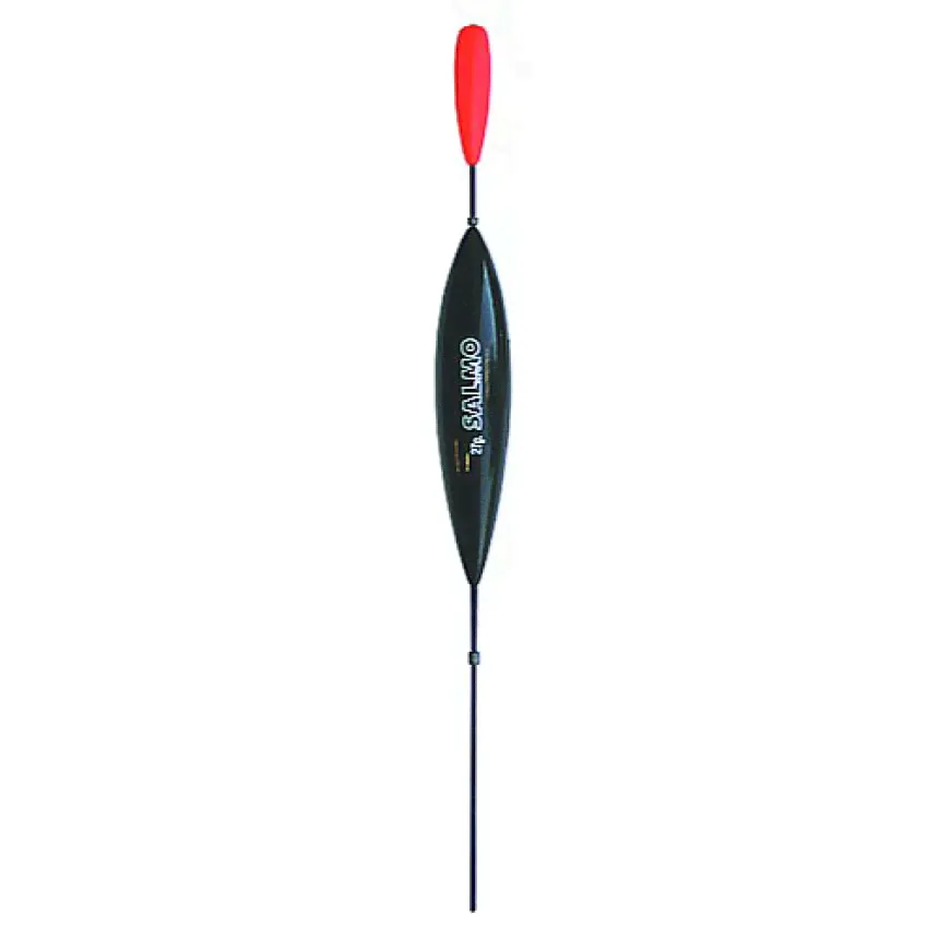  Salmo DM 4
