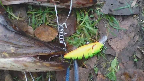 Обзор ASAKURA PERCH SR-F