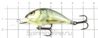  Salmo Hornet F04 RD  