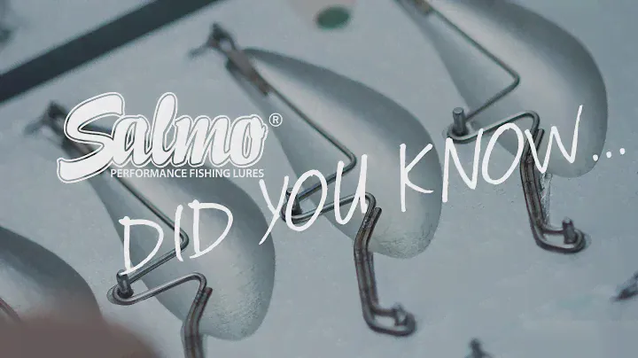SALMO DID YOU KNOW?.. Stahldrahtrahmen