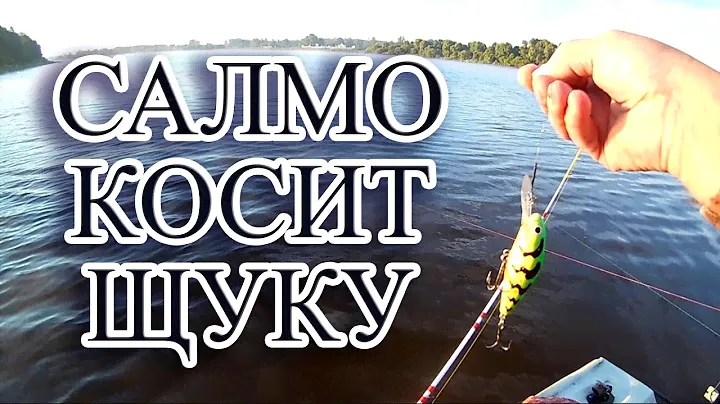 Рыбалка троллингом в Новгородской области, воблер Салмо косит щуку.