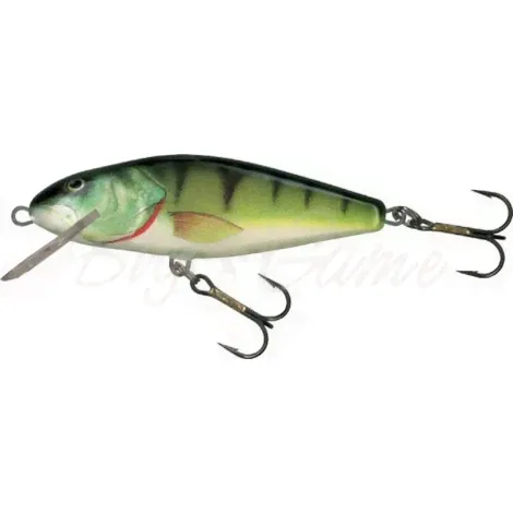 Воблер SALMO Perch Dr