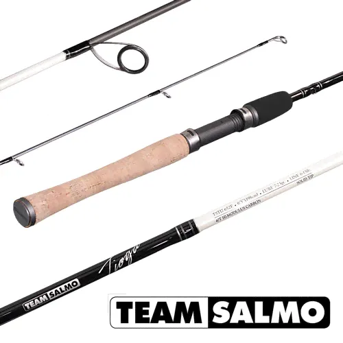 Спиннинг Team Salmo Tioga